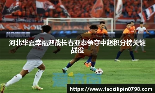 ac米兰体育