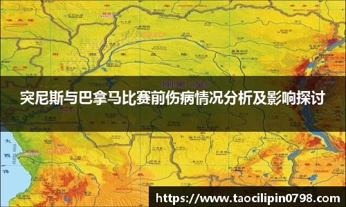 突尼斯与巴拿马比赛前伤病情况分析及影响探讨