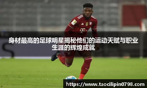 米兰体育官网